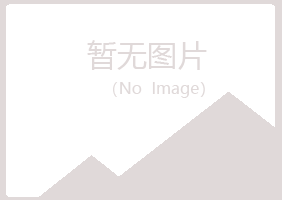 桃山区晓夏因特网有限公司